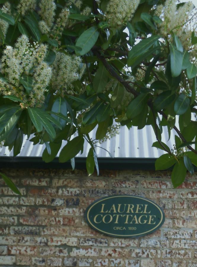 Laurel Cottageリッチモンド エクステリア 写真